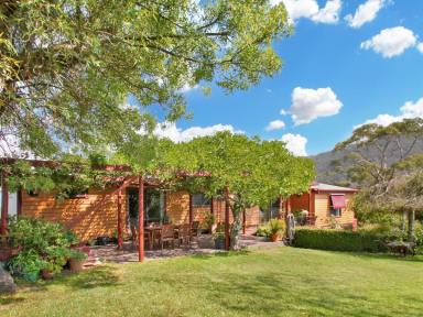 House Sold - VIC - Omeo - 3898 - START DREAMING OF COUNTRY TOWN LIVING  (Image 2)