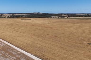 Other (Rural) For Sale - WA - Brookton - 6306 - Chitt's"  Chittleborough Rd W, Brookton  585.19ha (1445.41acres)  (Image 2)