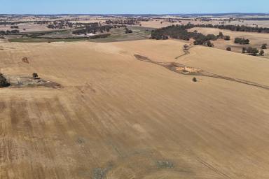 Other (Rural) For Sale - WA - Brookton - 6306 - Chitt's"  Chittleborough Rd W, Brookton  585.19ha (1445.41acres)  (Image 2)