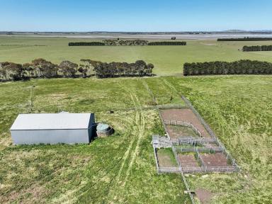 Livestock For Sale - VIC - Beeac - 3251 - PREMIER HIGHLY PRODUCTIVE COLAC DISTRICT COUNTRY  (Image 2)