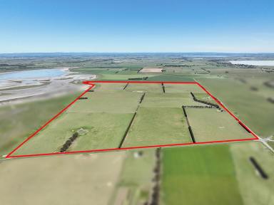 Livestock For Sale - VIC - Beeac - 3251 - PREMIER HIGHLY PRODUCTIVE COLAC DISTRICT COUNTRY  (Image 2)