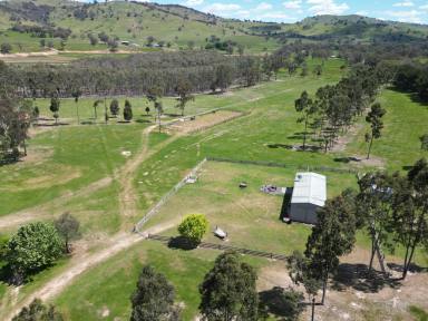 Lifestyle Auction - NSW - Wymah - 2640 - Lifestyle On The Banks Of The Hume Weir  (Image 2)