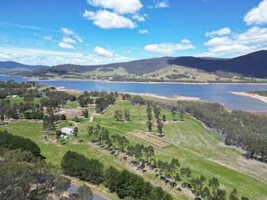 Lifestyle For Sale - NSW - Wymah - 2640 - Lifestyle On The Banks Of The Hume Weir  (Image 2)