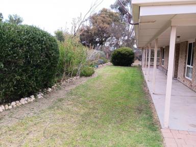 House For Lease - SA - Goolwa North - 5214 - Currently under offer. Semi-rural property in the heart of Goolwa North  (Image 2)