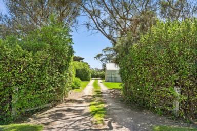 Lifestyle For Sale - VIC - Connewarre - 3227 - "Saltair" - On the fringe of Barwon Heads.  (Image 2)