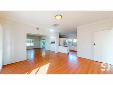 House Leased - NSW - Dubbo - 2830 - I'm Bigger Than I Look!  (Image 2)