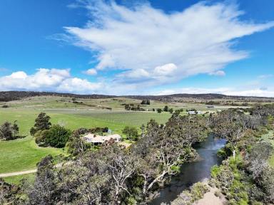 Viticulture For Sale - TAS - Cranbrook - 7190 - Established East Coast Vineyard - Full of Opportunity - Under Contract  (Image 2)