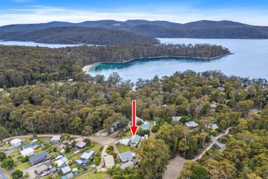 House For Sale - TAS - Port Arthur - 7182 - Sun-Filled Family Haven in an Unbeatable Location  (Image 2)