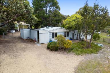 House For Sale - TAS - White Beach - 7184 - Effortless Holiday Retreat – Ready to Enjoy!  (Image 2)