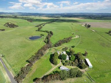 Livestock For Sale - VIC - Birregurra - 3242 - BIRREGURRA/ WHOOREL DISTRICT – ‘BARWONDALE’  (Image 2)