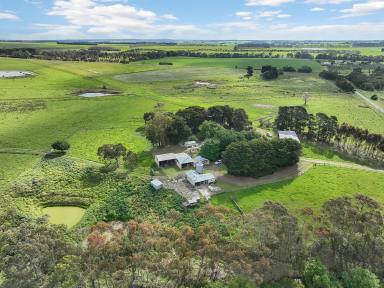 Livestock For Sale - VIC - Birregurra - 3242 - BIRREGURRA/ WHOOREL DISTRICT – ‘BARWONDALE’  (Image 2)