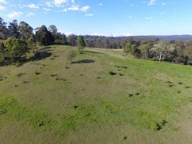 Livestock For Sale - NSW - Hogarth Range - 2469 - HOGARTH RANGE - 596 ACRES  (Image 2)