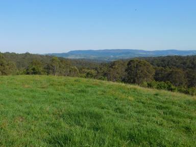 Livestock For Sale - NSW - Hogarth Range - 2469 - HOGARTH RANGE - 596 ACRES  (Image 2)