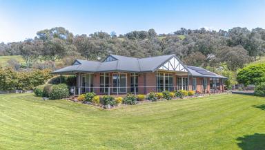 Lifestyle For Sale - VIC - Myrtleford - 3737 - 12 Acre Lifestyle Property  (Image 2)