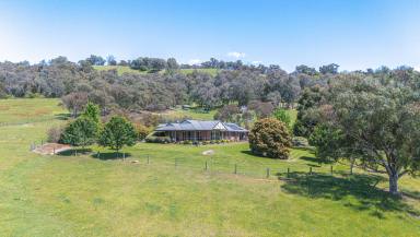 Lifestyle For Sale - VIC - Myrtleford - 3737 - 12 Acre Lifestyle Property  (Image 2)