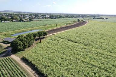 Other (Rural) For Sale - QLD - Brandon - 4808 - 363 Acre 14,000 tonne Cane Farm with Secure Irrigation  (Image 2)