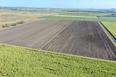 Other (Rural) For Sale - QLD - Brandon - 4808 - 363 Acre 14,000 tonne Cane Farm with Secure Irrigation  (Image 2)