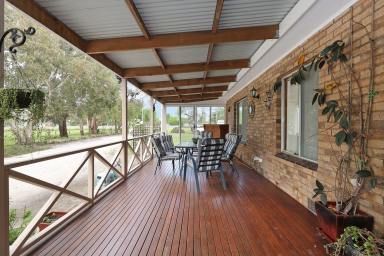 Farmlet For Sale - VIC - Derrinallum - 3325 - Discover Your Dream Lifestyle  (Image 2)