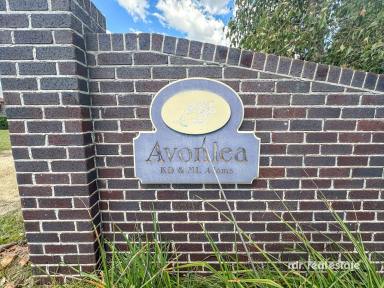 Lifestyle For Sale - NSW - Inverell - 2360 - AVONLEA - A STUNNING RETREAT  (Image 2)