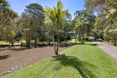 House For Sale - QLD - Verrierdale - 4562 - Private Retreat With Comfortable Modern Home  (Image 2)