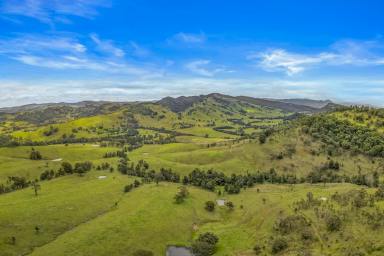 Lifestyle For Sale - NSW - Singleton - 2330 - 94 Acres* (38Ha) at Mt Olive With Dwelling Entitlement & Creek Frontage  (Image 2)