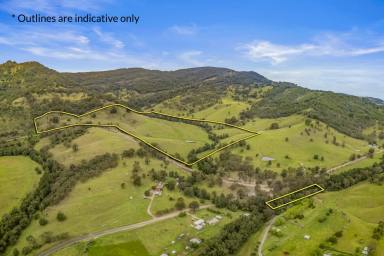 Lifestyle For Sale - NSW - Singleton - 2330 - 94 Acres* (38Ha) at Mt Olive With Dwelling Entitlement & Creek Frontage  (Image 2)