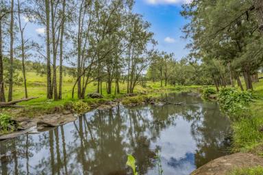 Lifestyle For Sale - NSW - Singleton - 2330 - 94 Acres* (38Ha) at Mt Olive With Dwelling Entitlement & Creek Frontage  (Image 2)