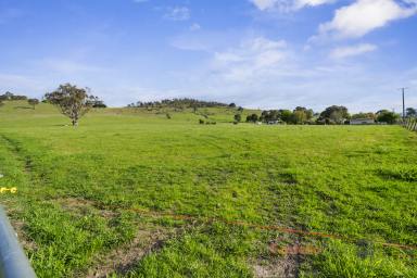 Residential Block Auction - VIC - Towong - 3707 - Prime Rural Living Block  (Image 2)