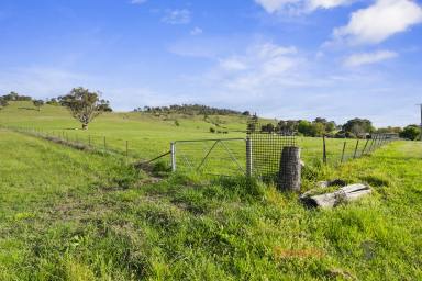 Residential Block Auction - VIC - Towong - 3707 - Prime Rural Living Block  (Image 2)