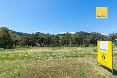 Residential Block For Sale - WA - Nannup - 6275 - GREAT BLOCK IN NANNUP!  (Image 2)