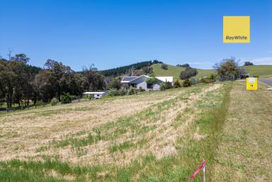 Residential Block For Sale - WA - Nannup - 6275 - GREAT BLOCK IN NANNUP!  (Image 2)