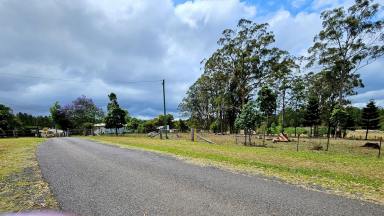 Residential Block For Sale - QLD - Pechey - 4352 - Level one acre bare block, bitumen frontage, and power connected.  (Image 2)