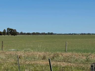 Mixed Farming For Sale - VIC - Kotta - 3565 - 318-acre Rural Property with Endless Potential  (Image 2)