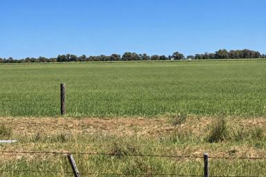 Mixed Farming For Sale - VIC - Kotta - 3565 - 318-acre Rural Property with Endless Potential  (Image 2)