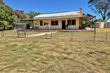 Mixed Farming For Sale - VIC - Kotta - 3565 - 318-acre Rural Property with Endless Potential  (Image 2)