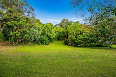 Residential Block For Sale - QLD - Tallai - 4213 - Picture Perfect & Private - over an acre  (Image 2)