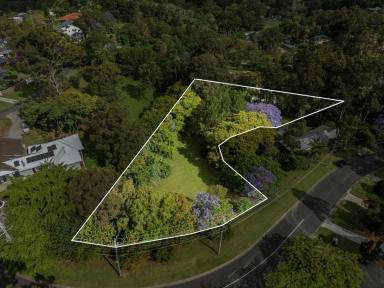 Residential Block For Sale - QLD - Tallai - 4213 - Picture Perfect & Private - over an acre  (Image 2)