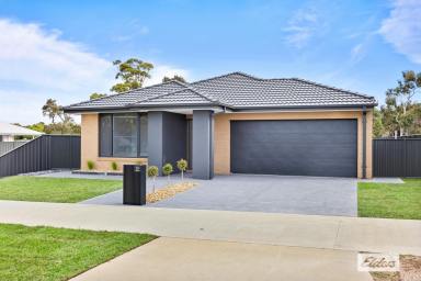 House For Sale - VIC - Ararat - 3377 - Premium Family Living Steps from Chalambar Golf Course  (Image 2)