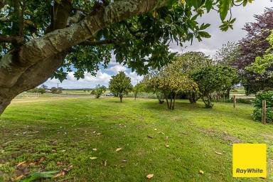 Residential Block For Sale - VIC - Toora - 3962 - Building block with views and planning permit  (Image 2)