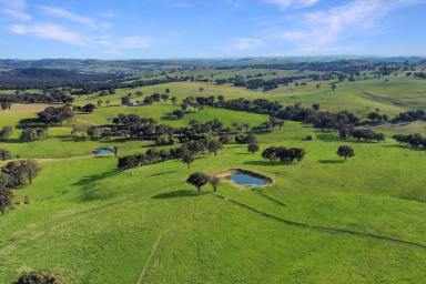 Mixed Farming For Sale - NSW - Woodstock - 2793 - 1,385ACRES* OF SECURE, HIGH RAINFALL TABLELANDS GRAZING!  (Image 2)