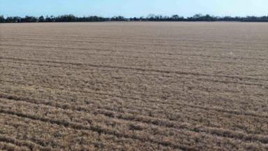 Other (Rural) For Sale - NSW - Moree - 2400 - The Ponds  (Image 2)