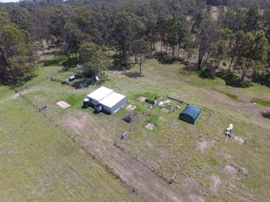 Mixed Farming For Sale - NSW - Leeville - 2470 - LIFESTYLE AND FARMING - LEEVILLE 156 ACRES  (Image 2)