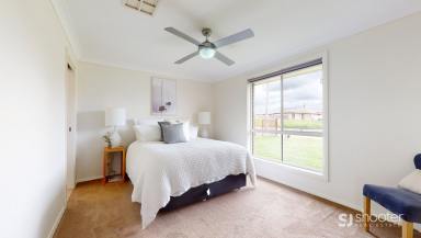 House Leased - NSW - Dubbo - 2830 - Light Filled Family Favourite  (Image 2)