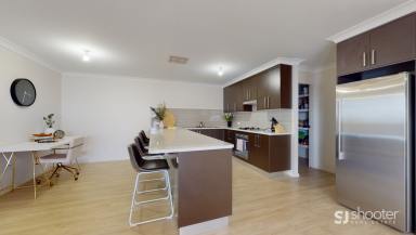 House Leased - NSW - Dubbo - 2830 - Light Filled Family Favourite  (Image 2)