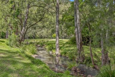 Lifestyle For Sale - NSW - Singleton - 2330 - Relax By The Creek!  (Image 2)