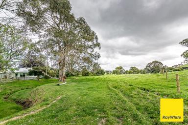 House For Sale - VIC - Toora - 3962 - Family homestead with paddock  (Image 2)