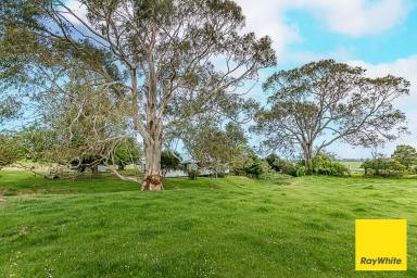 House For Sale - VIC - Toora - 3962 - Family homestead with paddock  (Image 2)