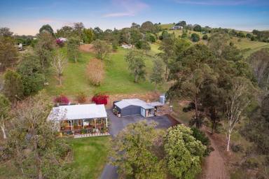 House For Sale - QLD - Carters Ridge - 4563 - Natural Serene Retreat, Dual Living Potential  (Image 2)