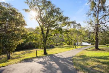 House For Sale - QLD - Carters Ridge - 4563 - Natural Serene Retreat, Dual Living Potential  (Image 2)