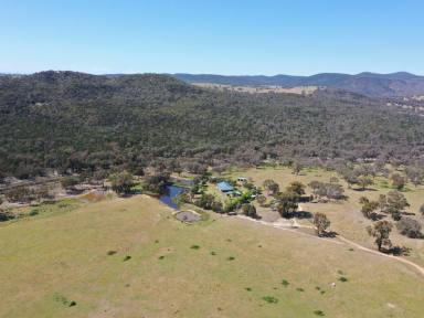 Mixed Farming Sold - NSW - Bethungra - 2590 - 100acs* With Scenic Views Of The Bethungra Hills  (Image 2)